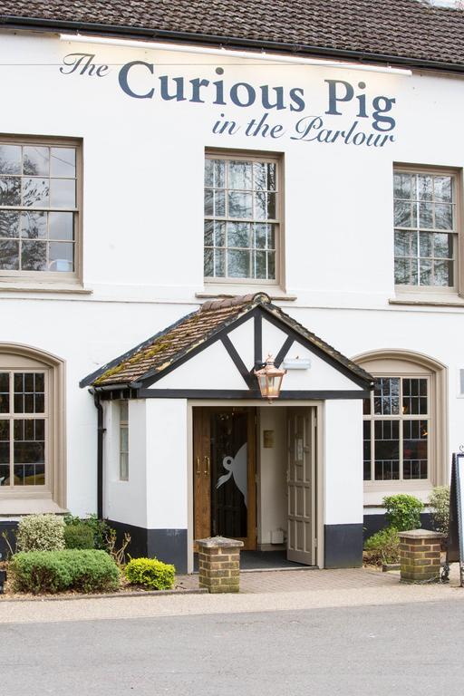 Hotel The Curious Pig In The Parlour à Burstow Extérieur photo